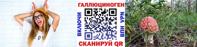 наркотики  Северо-Курильск  блэк спрут ТОР  Псилоцибиновые грибы прущие грибы 